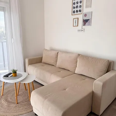 Apartment Nest